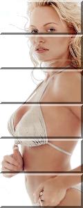 pamela-anderson
