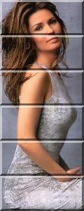 shania-twain